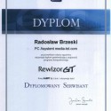 InsERT (2005) Dyplomowany Serwisant programu RewizorGT
