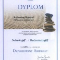 InsERT (2007) Dyplomowany Serwisant programów SubiektGT i RachmistrzGT