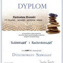 InsERT (2008) Dyplomowany Serwisant programów SubiektGT i RachmistrzGT